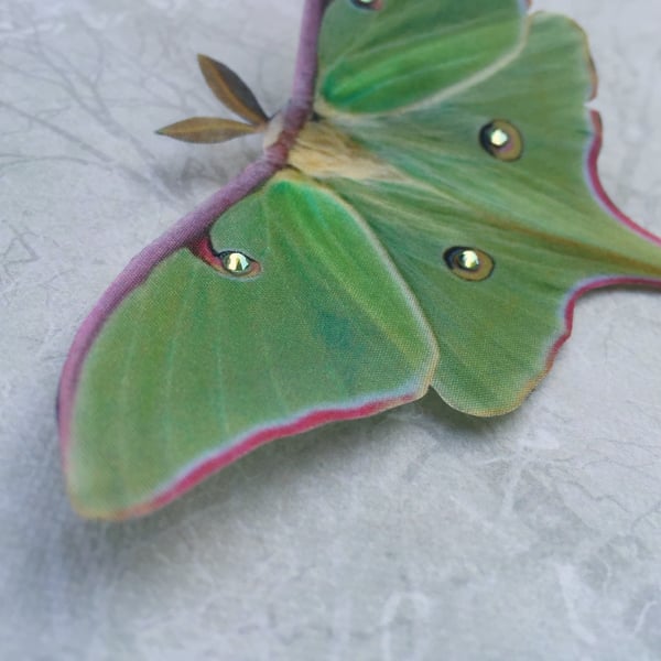 Silk Luna Moth hair clip with Swarovski Crystals. 