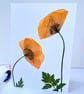 Handmade Real Pressed Flower, Poppy Greeting card - Image 2