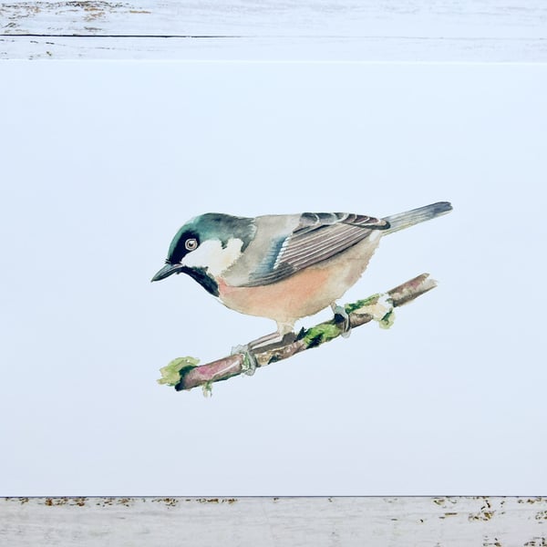 Coal tit watercolour print