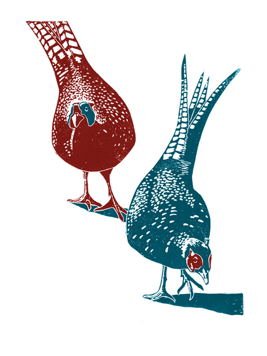 Pheasants A3 poster-print (red-blue)