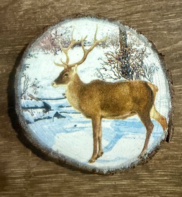 Wooden Disc Christmas Coaster 