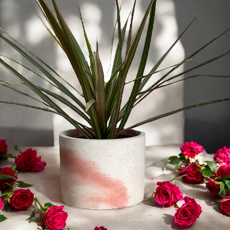 Large Concrete Terracotta and Grey Coloured Plant Pot (lpp2&3)