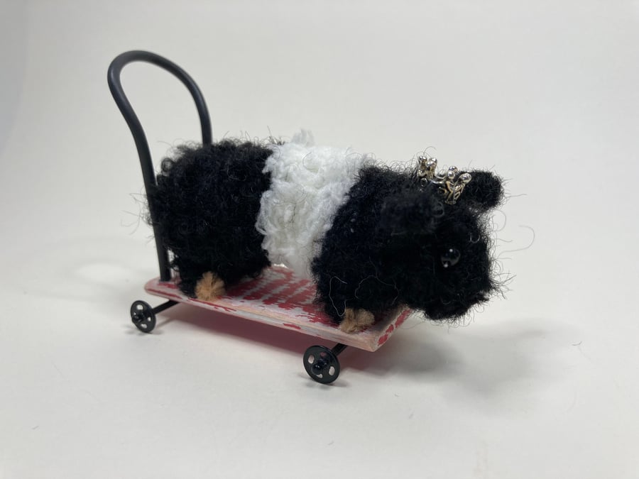 Elvis the Guinea Pig