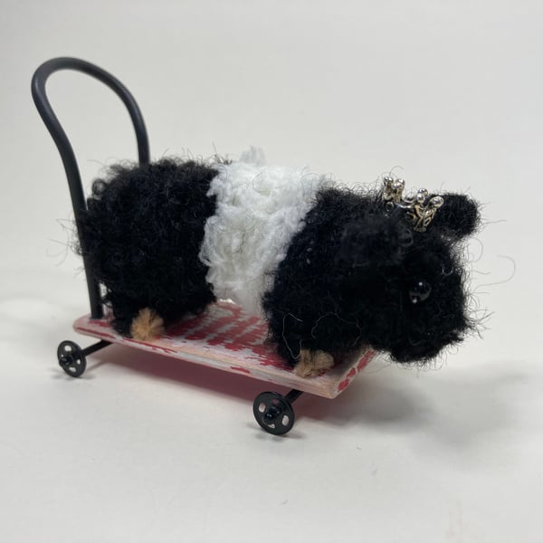 Elvis the Guinea Pig