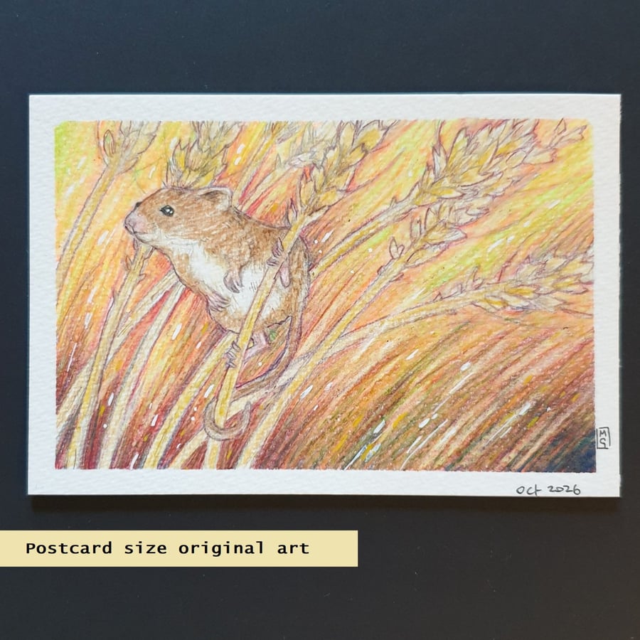 Harvest mouse with wheat stalks, postcard size art, letterbox art gift