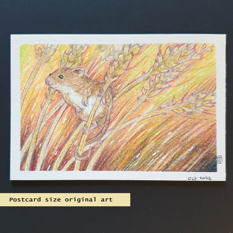 Harvest mouse with wheat stalks, postcard size art, letterbox art gift