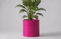 Statement Plant Pots