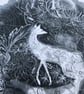 Frost And Fox A4 Art Print - Image 6