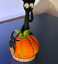 Spooked cat Halloween  - Image 5