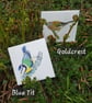Dartmoor Bird Cards - single - Image 6