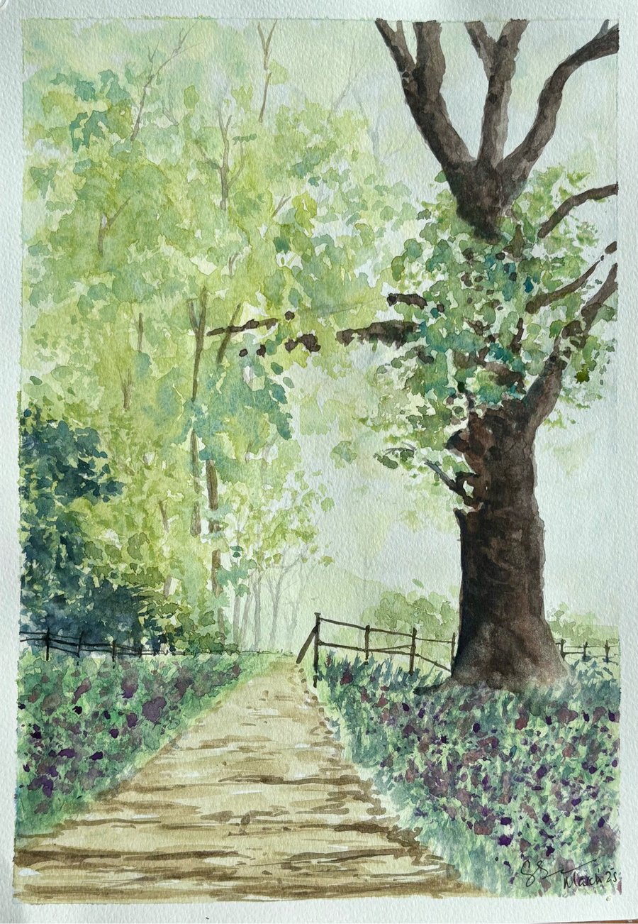 Dreaming of Bluebell Woods