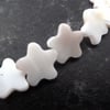 shell star beads