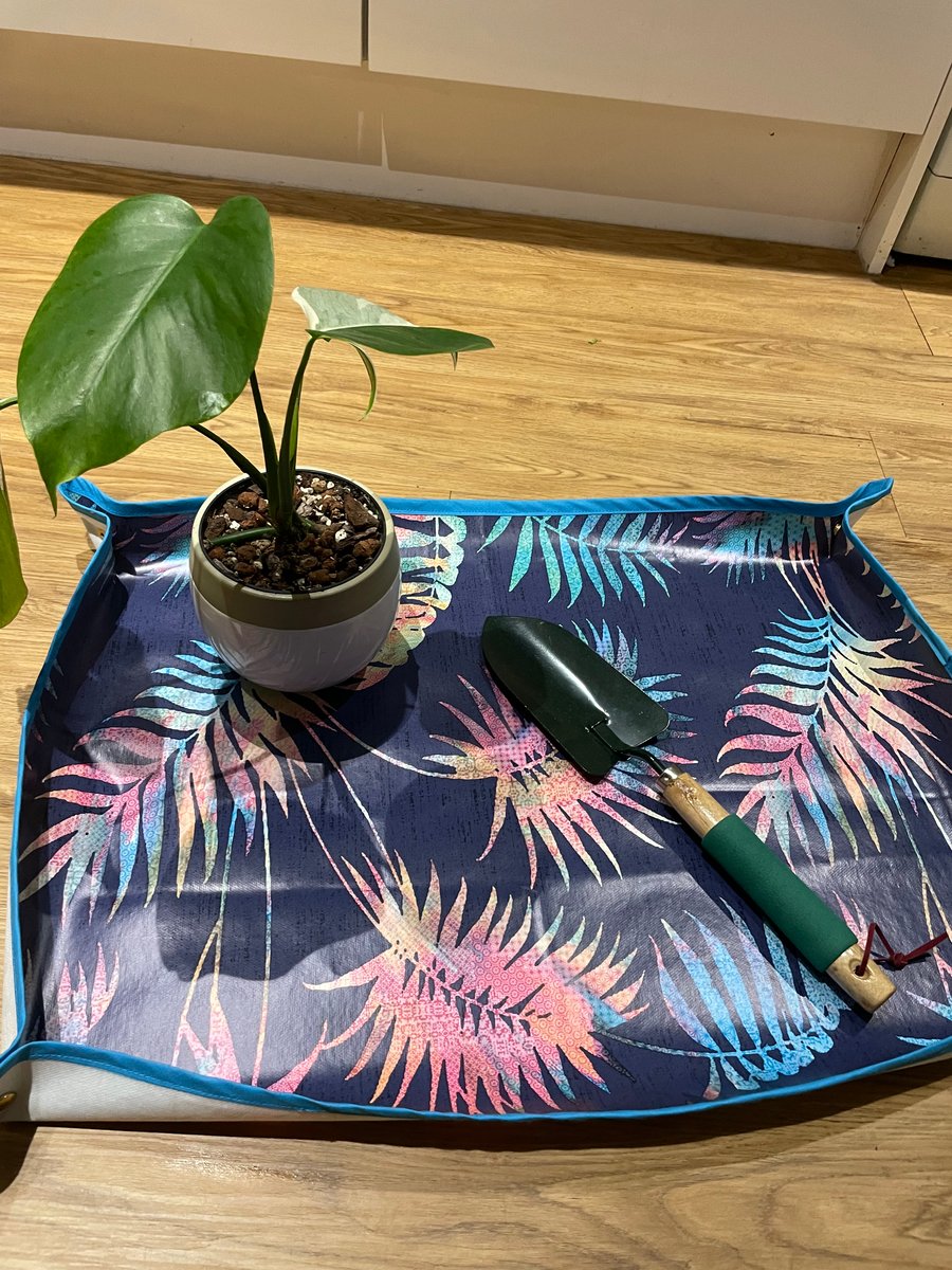 Palm planty potting mat, repot mat, repotting