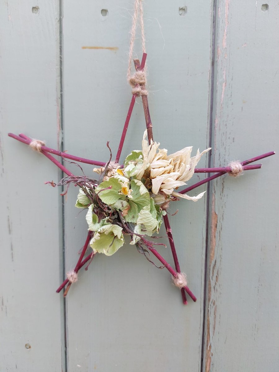 Dried Flower and Foliage Star. Handmade. 18x18cm