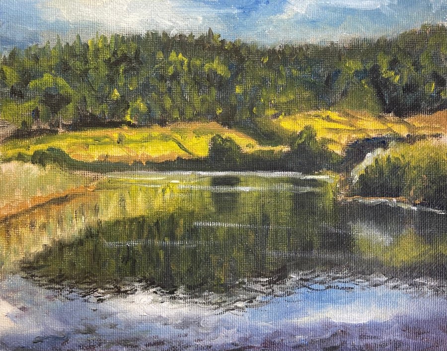 Margrove nature reserve (Oil painting 8” x 6”)