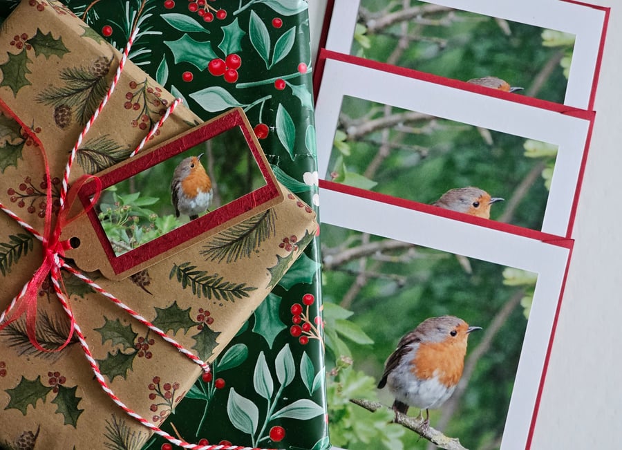 Small Robin Photo Cards Size 5" x 5" Pack of 3 blank cards with one-off Gift Tag