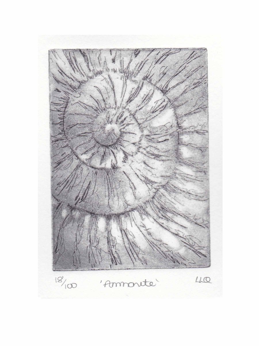 Etching no.18 of an ammonite fossil in an edition of 100