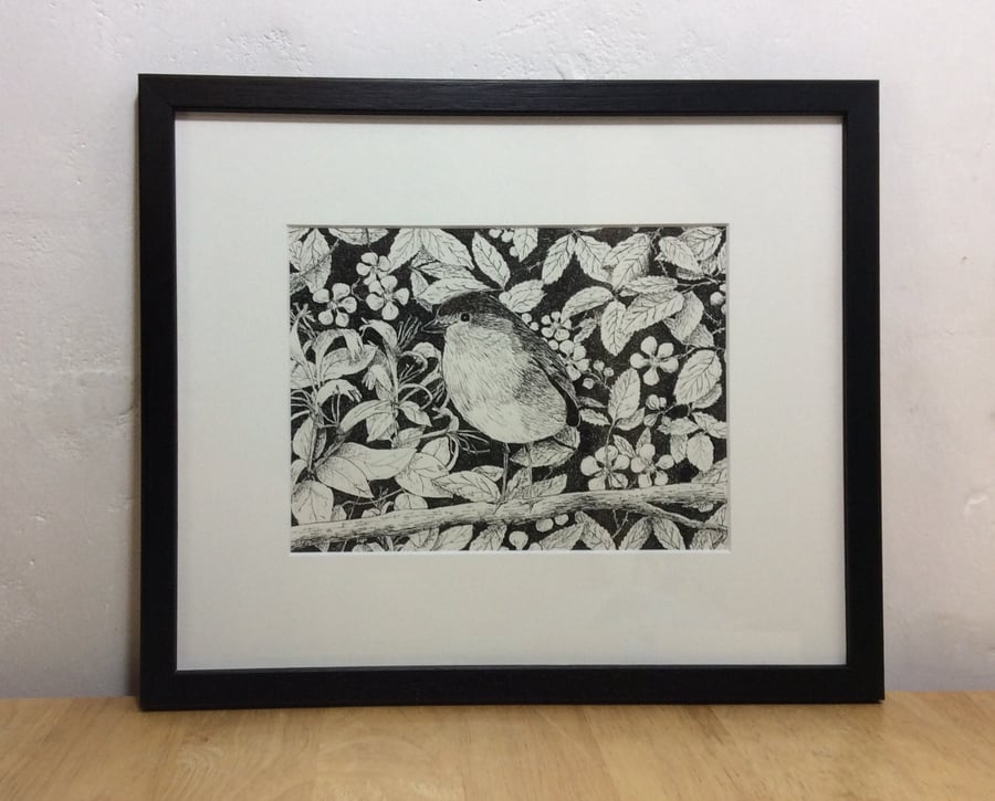 Robin - original pen and ink drawing of this delightful little bird - framed