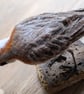 Lesser Sand Plover - RESERVED COMMISSION FOR M - Image 2
