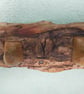 Blitz Timber 10 - Image 5