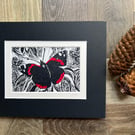 Red Admiral Orginal Handmade Lino Print Mounted