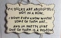 Chaotic Ducks 