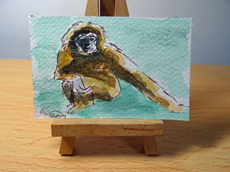 ACEO Animal Art Gibbon Look Original Watercolour and Ink Painting OOAK Monkey