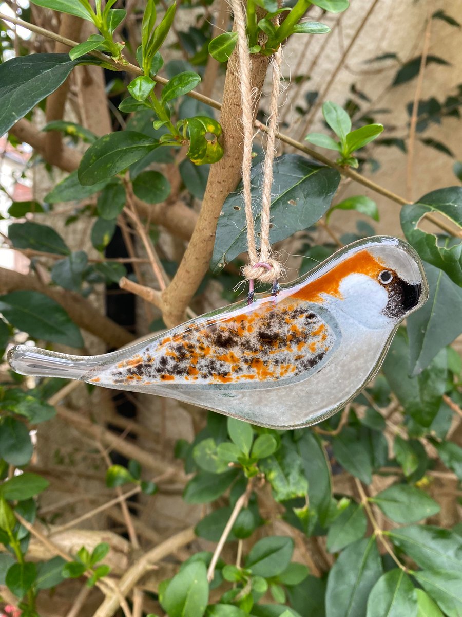 Fused Glass Birds, Starling bird lover gift, British bird, hanging bird