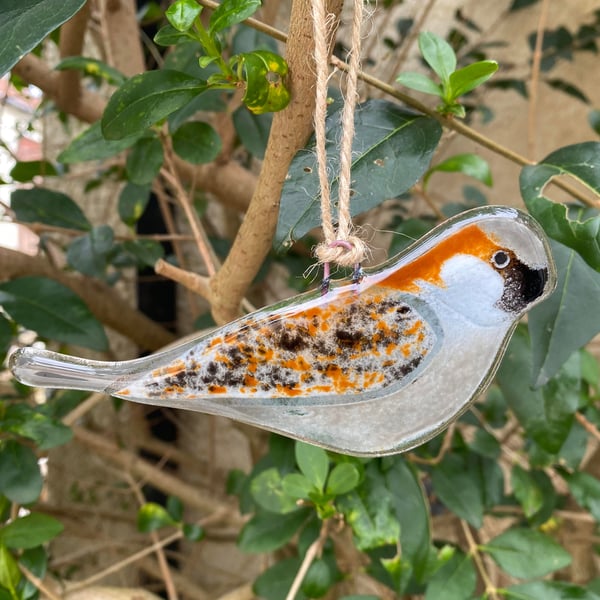 Fused Glass Birds, Starling bird lover gift, British bird, hanging bird