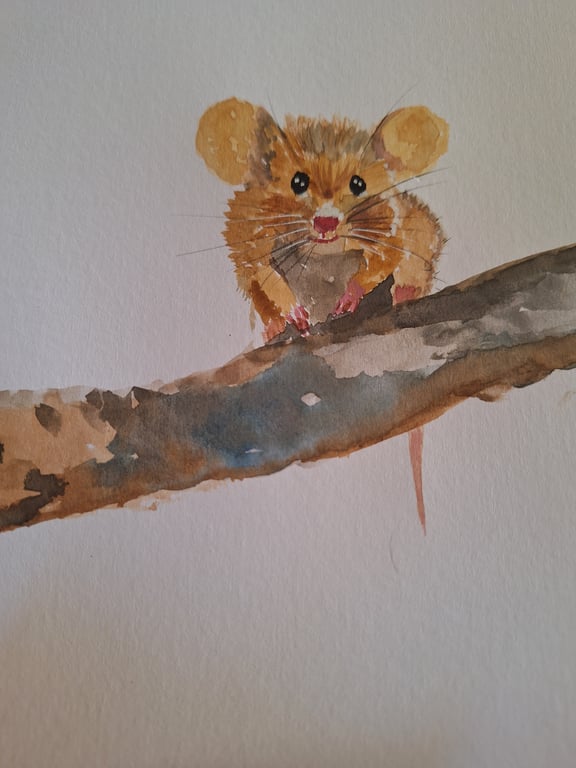 Woodland mouse 