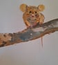 Woodland mouse  - Image 1