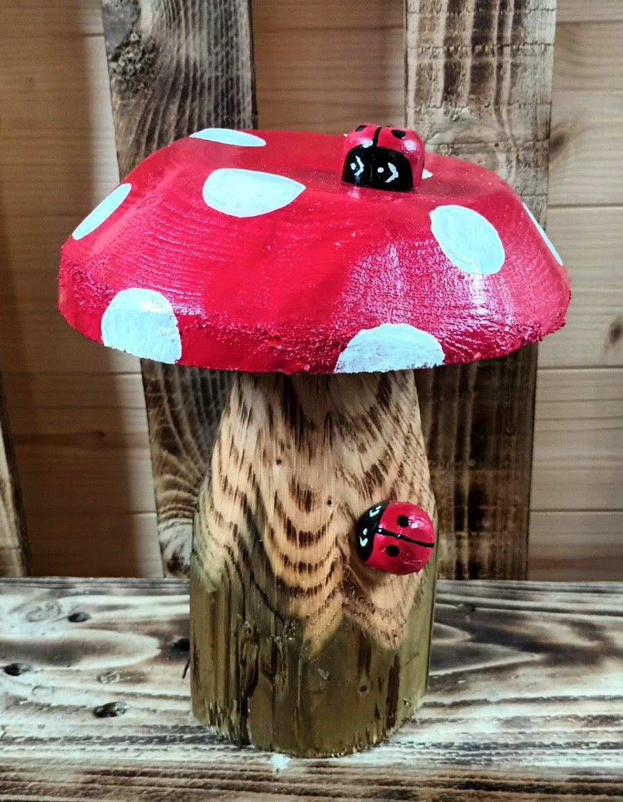 Red Spotty Toadstool (E)