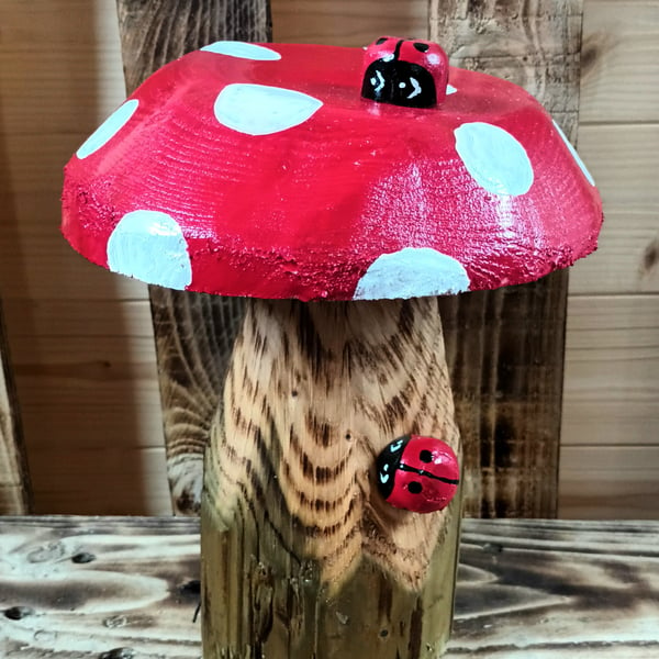 Red Spotty Toadstool (E)