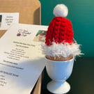 Crochet Kit: Santa Hat Christmas Egg Cosy. Designed by tutor and pattern tested.