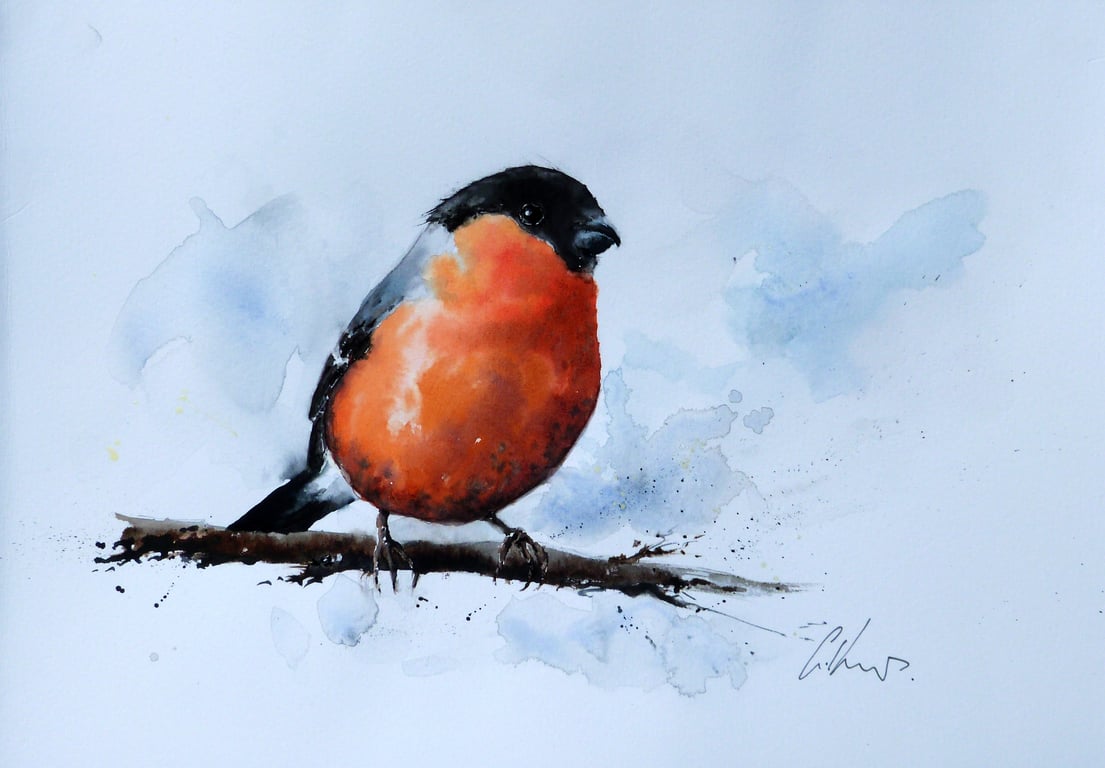 Bullfinch, Professional Giclée Print.