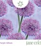 Purple Allium Wrapping Paper – Botanical Floral Gift Wrap – Recyclable Paper - Image 2