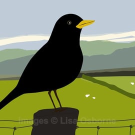 Blackbird - print from digital illustration. Wildlife. Garden bird.