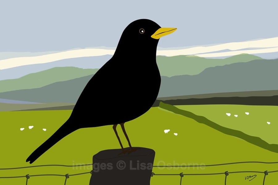 Blackbird - print from digital illustration. Wildlife. Garden bird.