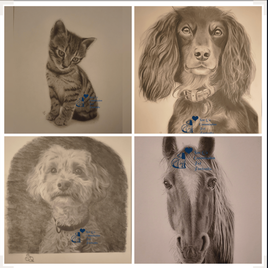 Personalised pet portrait commission No digital prints, 100% hand drawn 