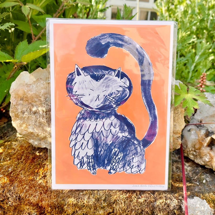 A5 Cone of shame Cat