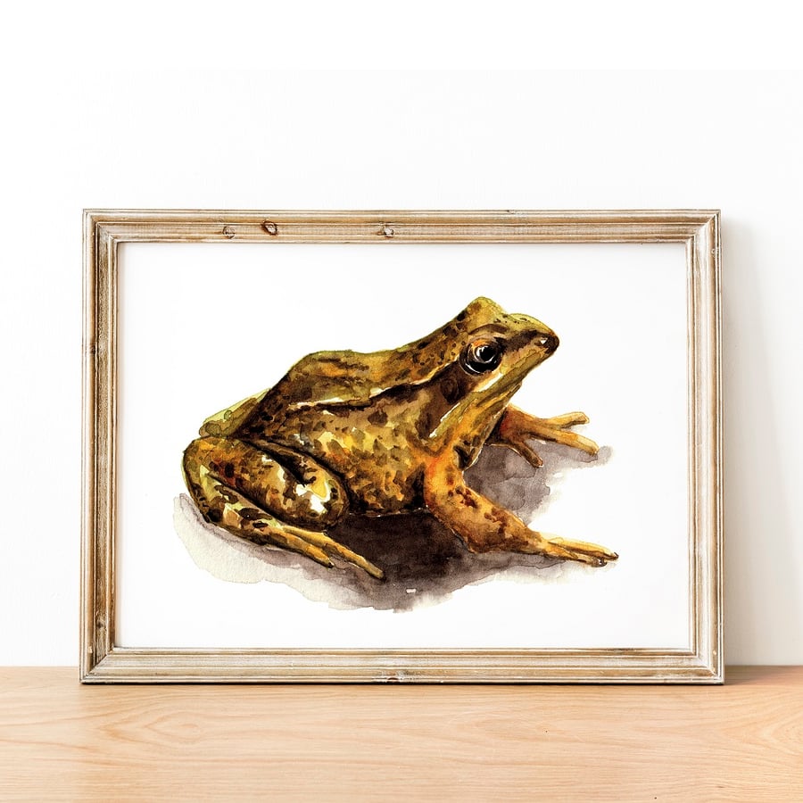 Small Toad A5 Inkjet Print