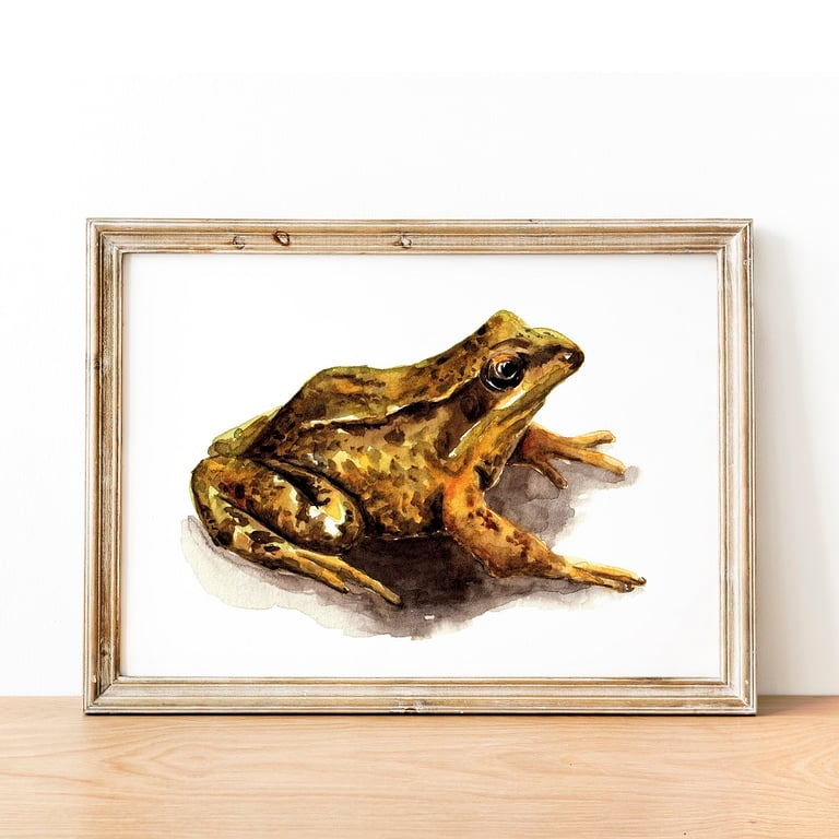 Small Toad A5 Inkjet Print