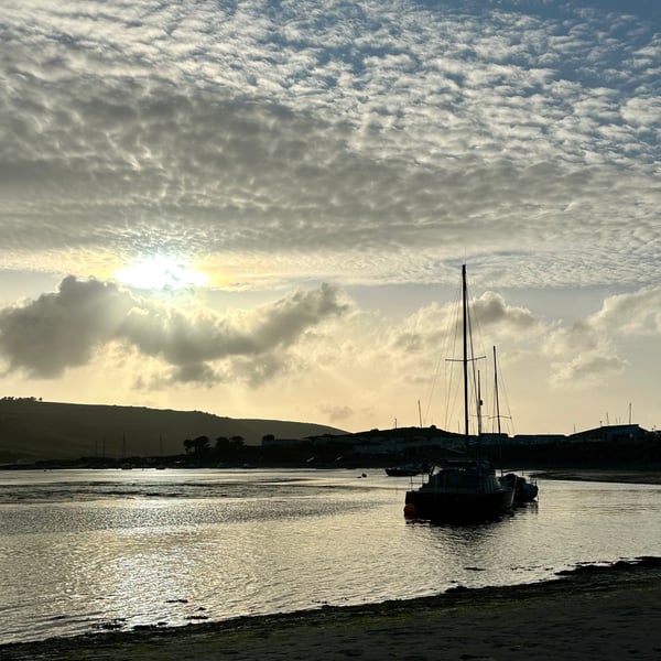 Cardigan bay print