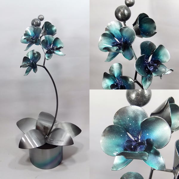 Orchid blue and teal