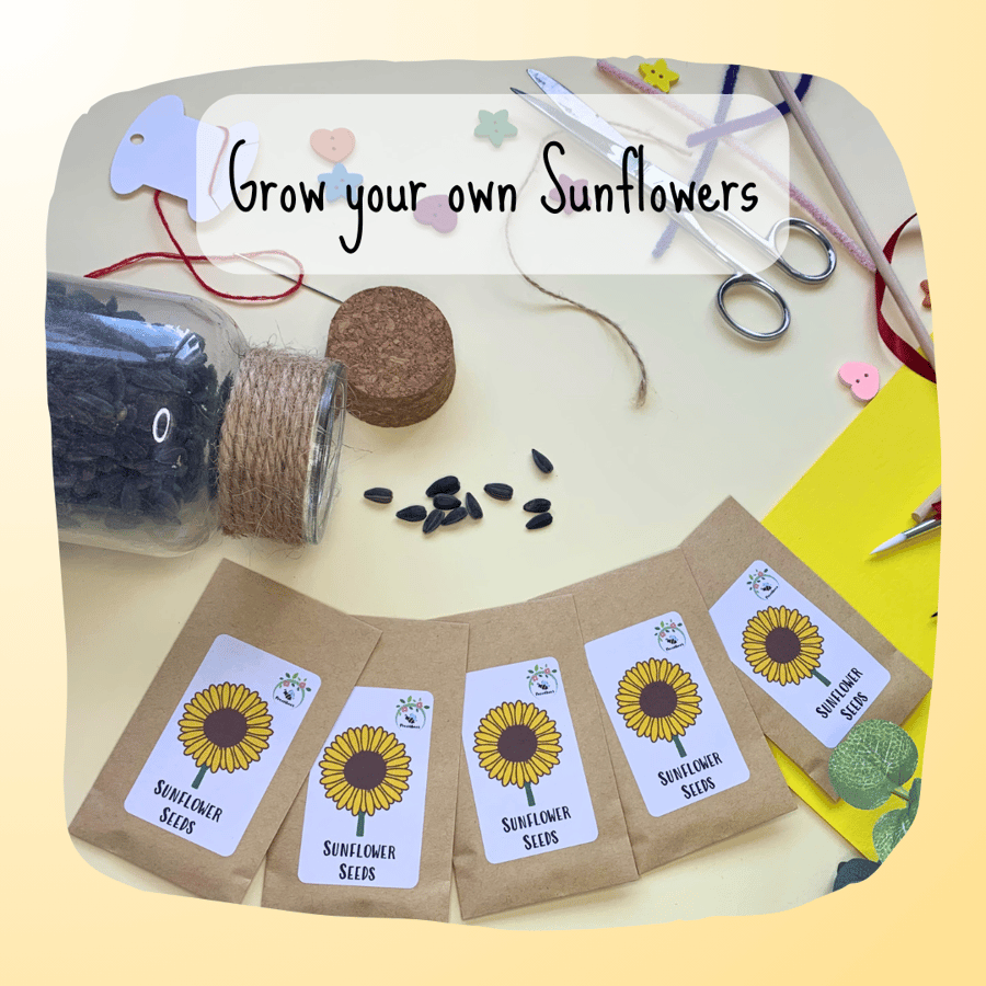 Grow Your Own Sun Flower Seeds, Seed Packets, Eco Friendly Craft, Gardeners Gift