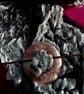Shawl pin in textured flower imprinted copper - Image 2