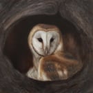 Barn Owl Original Oil Painting - Woodland Animal Wall Art