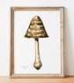 Magpie Inkcap A5 Inkjet Print - Image 1