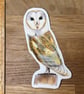 Barn Owl Sticker - Image 3