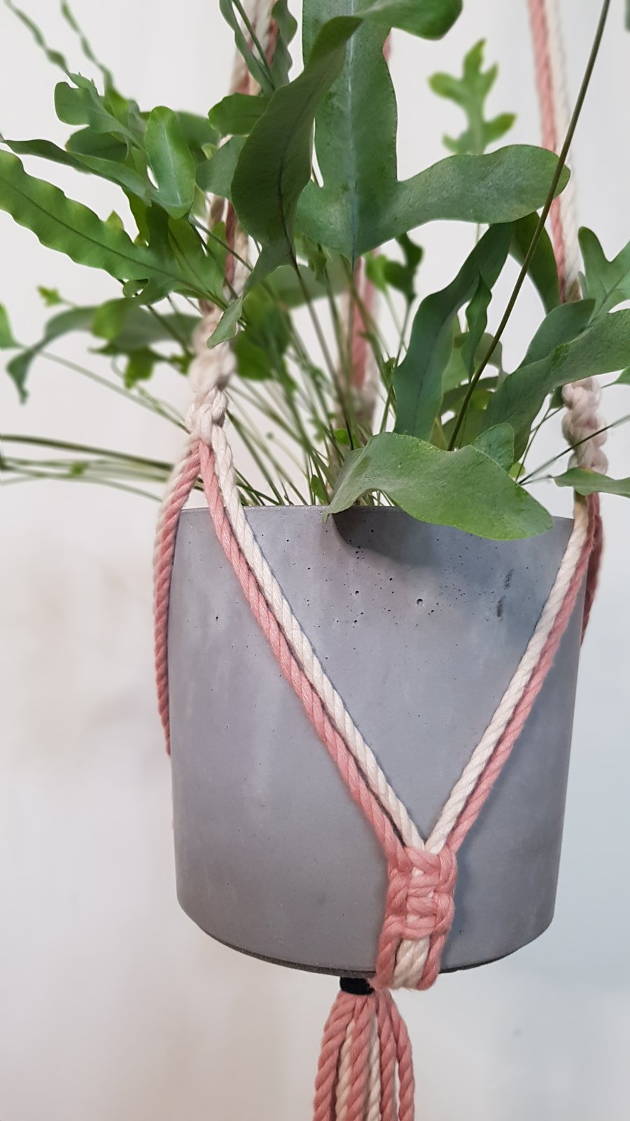 Macrame Plant Hanger in Dusky Pink & Cream with Black accents Large - Handmade 